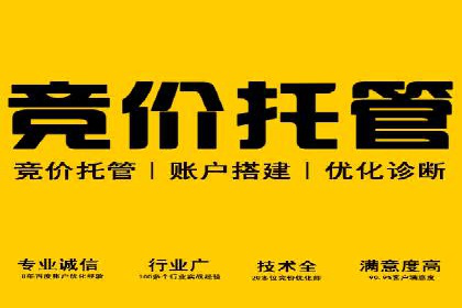 百度推广实战技巧：案例详解